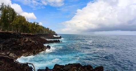 Private Custom Van Full Day Guided Tour – Hilo, Hawaii f-6