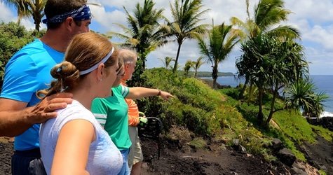 Private Custom Van Full Day Guided Tour – Hilo, Hawaii f-7