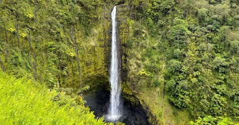 Private Custom Van Full Day Guided Tour – Hilo, Hawaii f-8