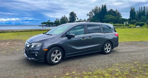 Private Custom Van Full Day Guided Tour – Hilo, Hawaii f-9