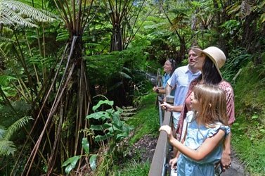 Private Volcano Shuttle Tour f-11