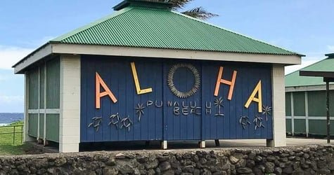 Punalu’u Black Sand Beach Tour – Hilo Discovery and Volcanoes National Park Explorer f-3