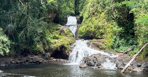SHARED Big Island Big Volcano Adventure f-9