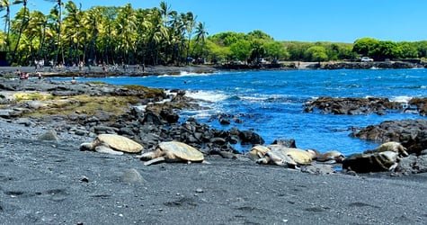 SHARED Kilauea Summit to Shore from Kona f-7
