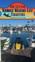 Sunset Manta Ray Snorkel f-5