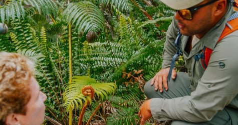 Volcano Direct Hiking Adventure f-7