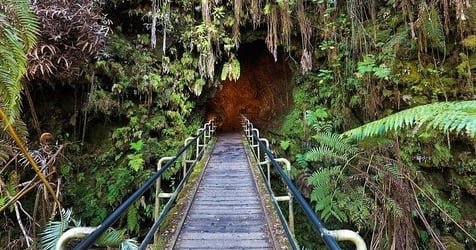 Volcanoes National Park Guided Hike – Small Group Hike F-1