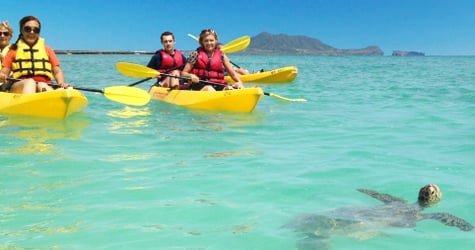 2-Hour Guided Kayak + Beach Time f-3