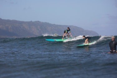 3-5 Surfers Private Group Ohana Lesson f-3