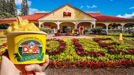 All Inclusive Circle Island With Turtle Beach f-5