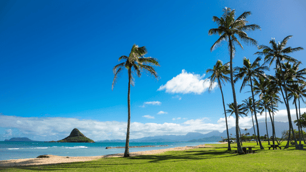 All Inclusive Circle Island With Turtle Beach f-8