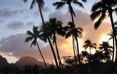 Drums & Dances of Polynesia at The Royal Sonesta Kaua'i General Admission f-9