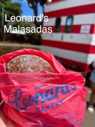 Half-Day Beautiful Oahu East Coast Tour f-2