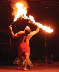 Hawaiian Package f-2