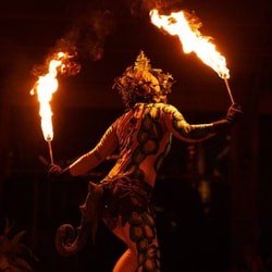 Hawaiian Package with Round-Trip Transportation f-3