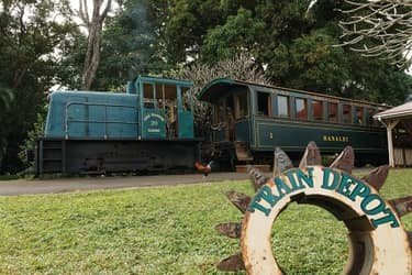 Hawaiian Package with Train & Round-Trip Transportation f-4