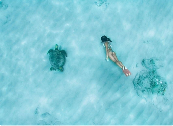 Ko Olina Four Seasons Snorkel f-3