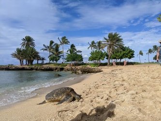 North Shore Adventure Tour f-3