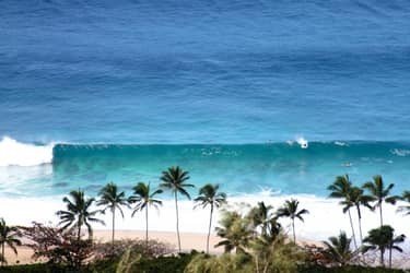 North Shore Surf Tour f-1