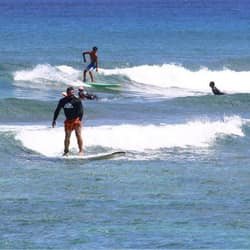 North Shore Surfing Lessons f-3