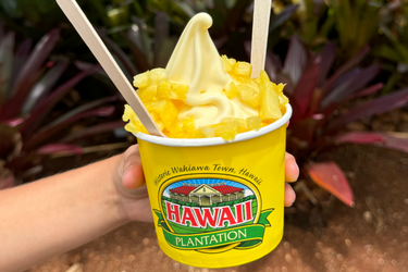 PRIVATE Circle Island Tour of Oahu f-9