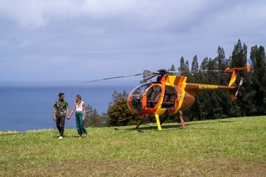 Private Helicopter Landing f-2