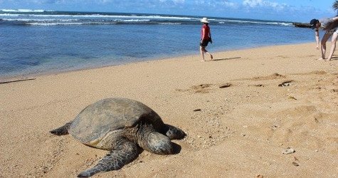 Private Island Tour f-2