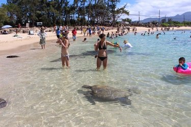 Private Island Tour f-4