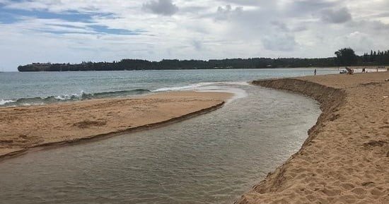 Semi-Private Surf Lesson f-1