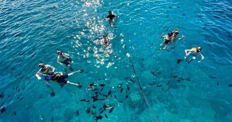 Semi-Private Turtle Snorkel & Catamaran Cruise f-4