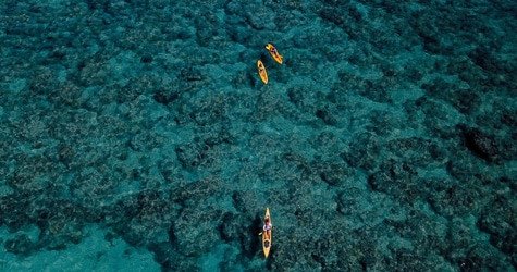 Twin Islands Guided Kayak Tour f-6
