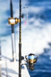 Venture Ko Olina Nearshore Fishing f-6