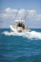 Venture Ko Olina Wildlife Snorkel f-10