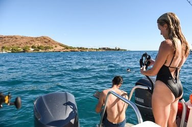 Venture Ko Olina Wildlife Snorkel f-6