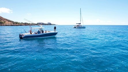 Venture Ko Olina Wildlife Snorkel f-7