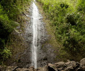 Diamond Head Crater & Hawaiian Waterfall Tour f-1