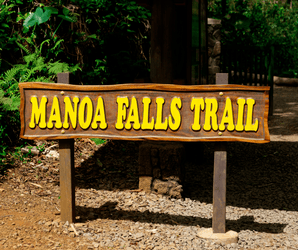 Diamond Head Crater & Hawaiian Waterfall Tour f-7