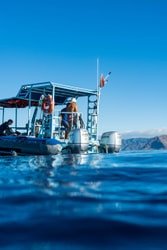 Dolphin Warrior Private Charters f-2