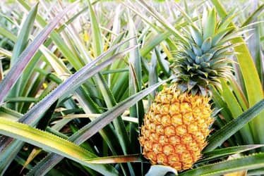 Local Expert Premier Private Tour f-1