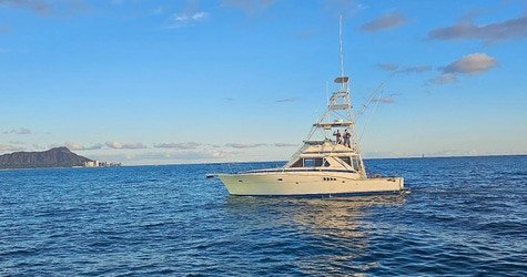 Private Boat Charter f-4