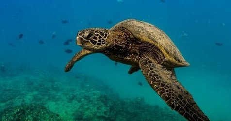 Private Boat Charter f-5