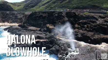 Private Circle Island Sightseeing & Food Tour f-19