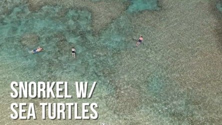 Private Circle Island Sightseeing & Food Tour f-21