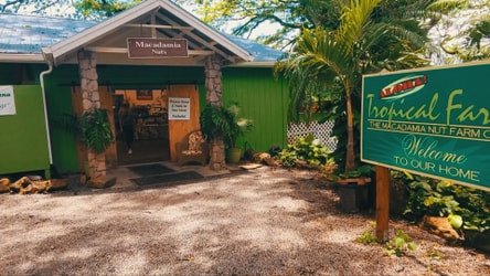 Private Circle Island Sightseeing & Food Tour f-5