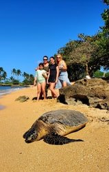 Private Circle Island Sightseeing & Food Tour f-6