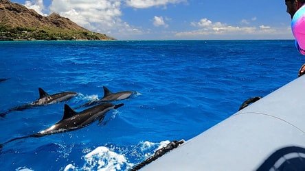 Semi-Private Snorkeling Adventure f-2