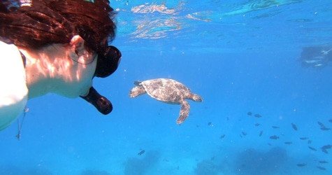 Semi-Private Snorkeling Adventure f-5