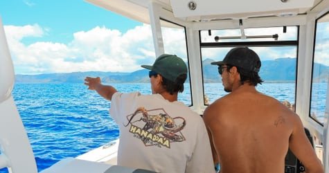 Swim with Wild Dolphins in West Oahu f-12