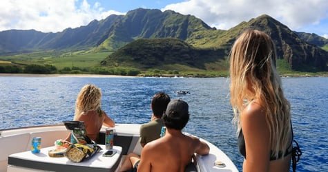 Swim with Wild Dolphins in West Oahu f-8