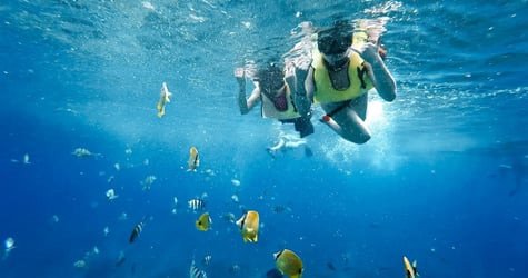 Swim with Wild Dolphins in West Oahu f-9